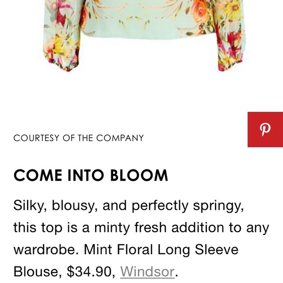 Windsor Sheer Mint Floral Blouse Size M - Picture 8 of 8